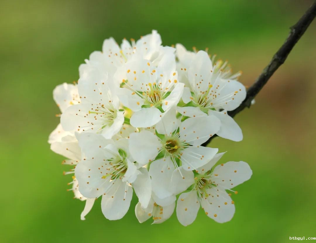 1626831464439067777.jpg 微信图片_20210721093255.jpg