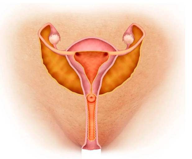 1646297434209064077.png 企业微信截图_1646297388583.png