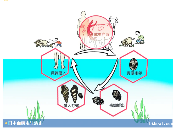 1719822629160021010.png image.png